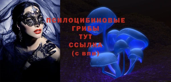 а пвп мука Дмитровск