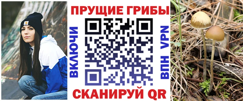 Псилоцибиновые грибы Cubensis  что такое наркотик  мега ссылка  Никольск 